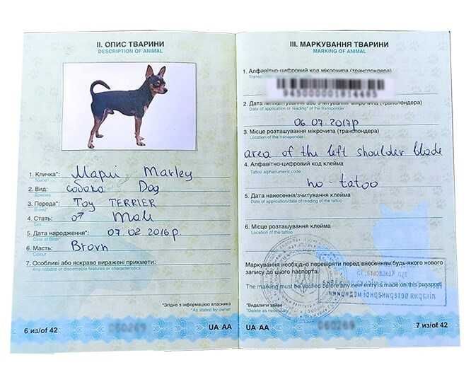 Вет паспорта, титры FAVN тест, вакцинация, чип для выезда животных ЕС