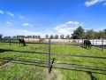 padoki pastwiska konie bydło ogrodzenie plac treningowy padok