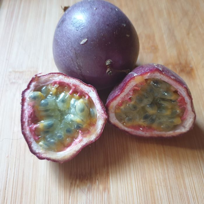 Árvore de maracujá roxo