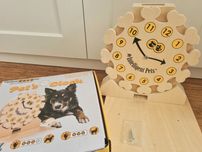 My Intelligent Dogs Pet's O'Clock drewniana gra logiczna zabawka d psa