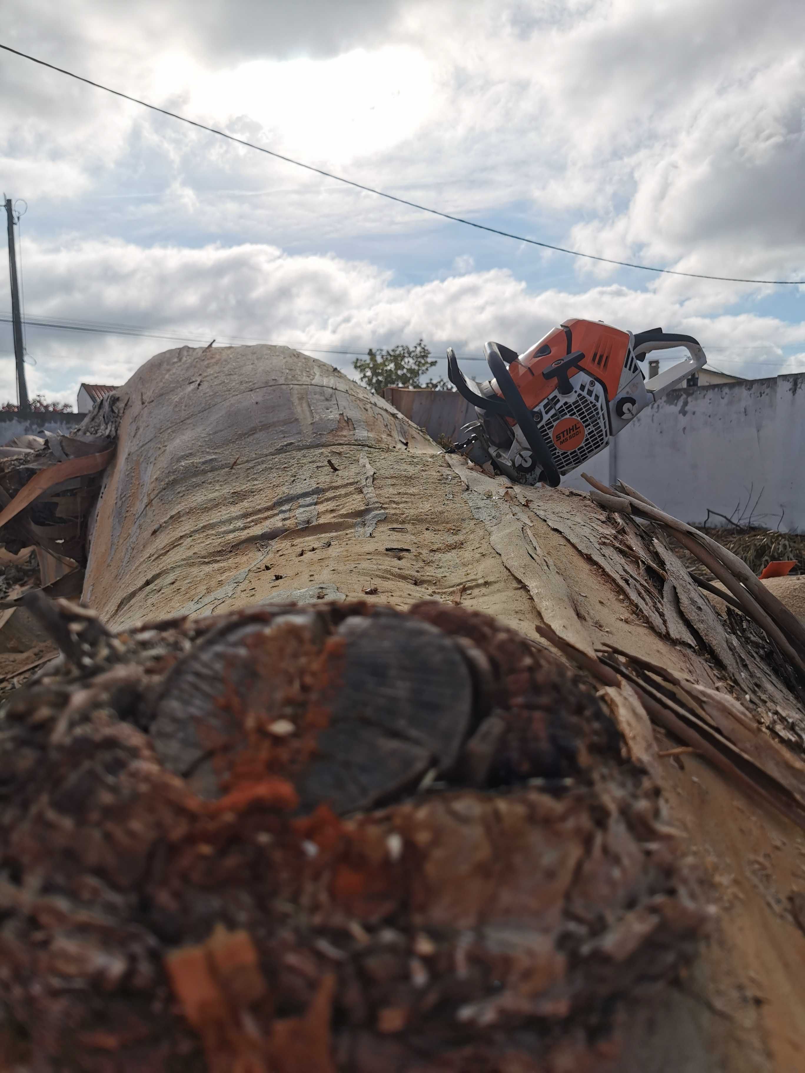 Corte de árvores difíceis / Difficult tree pruning and removal