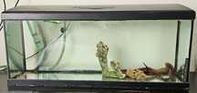 Aquario 120 litros (100C×30Lx40A]