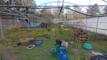 Estrutura Estufa com 800m2