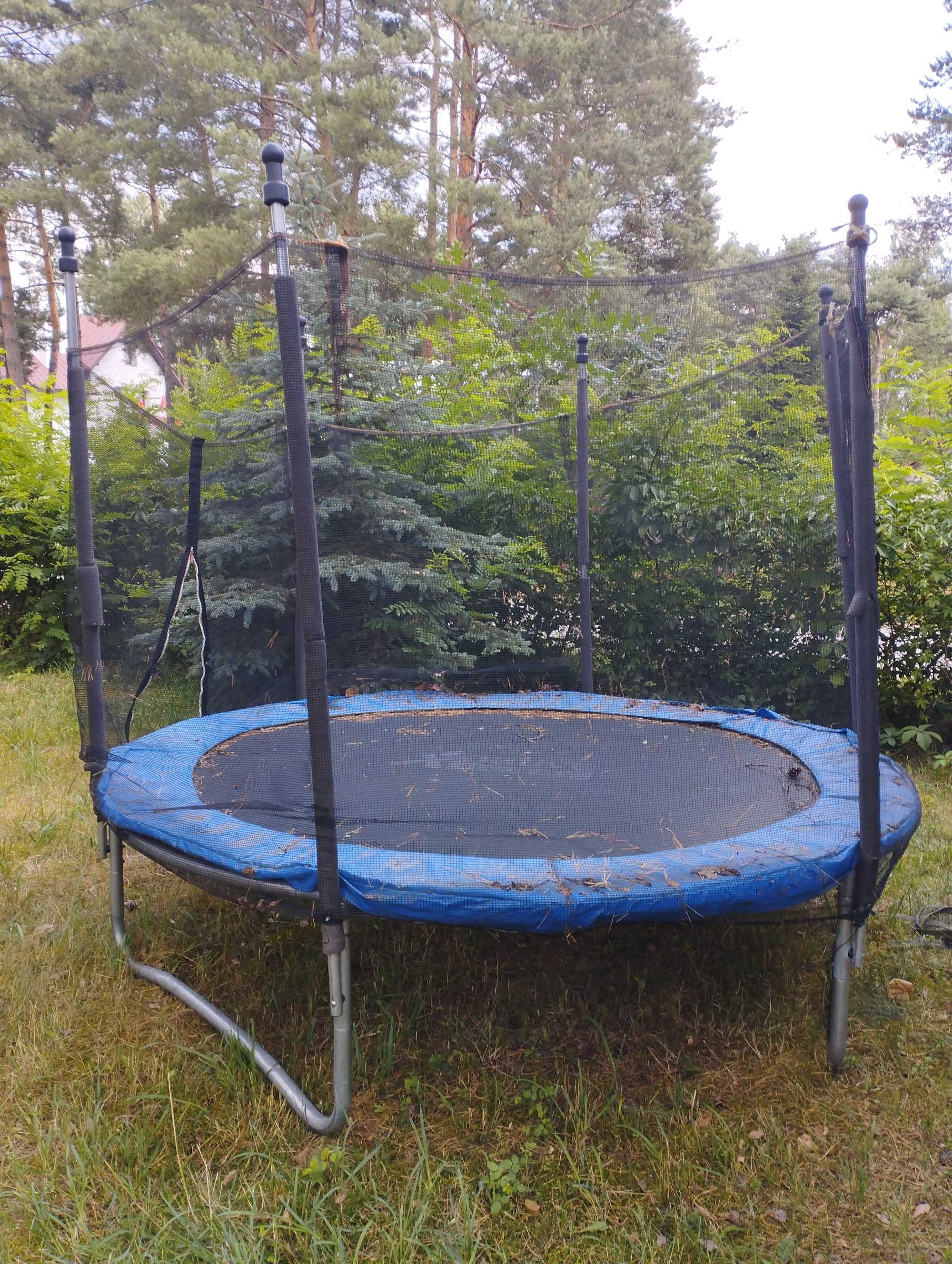 Trampolina 240cm