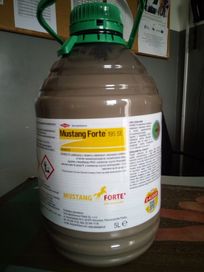 Mustang Forte 5L cena brutto