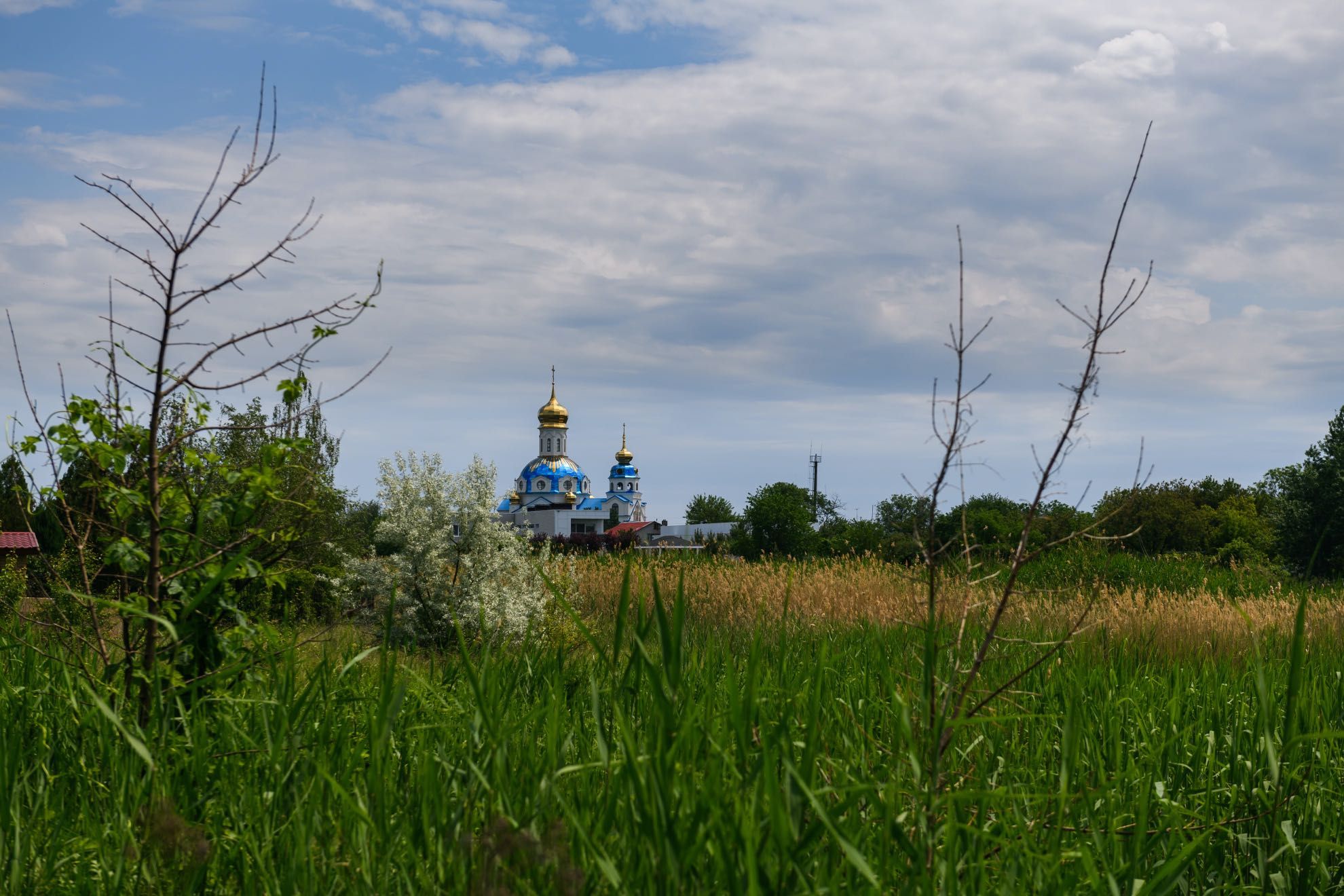 Продам найкращу ділянку в Новоселівці на березі Самари. Фарватер