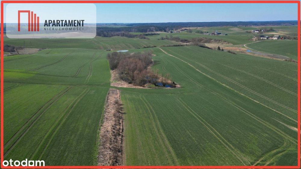 siedlisko koło Gniewu, nowa cena