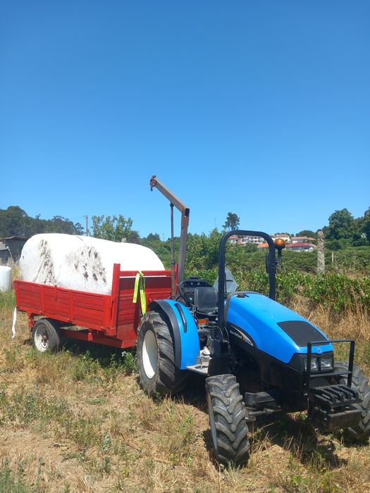 Rolos de feno de aveia e azevem