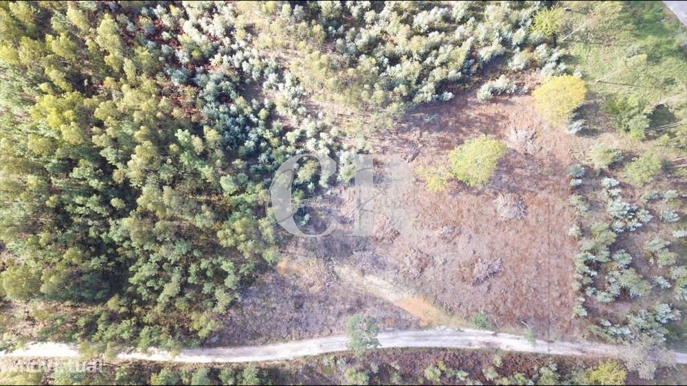 Oportunidade Única para Investimento Imobiliário em Figueiró dos Vinho