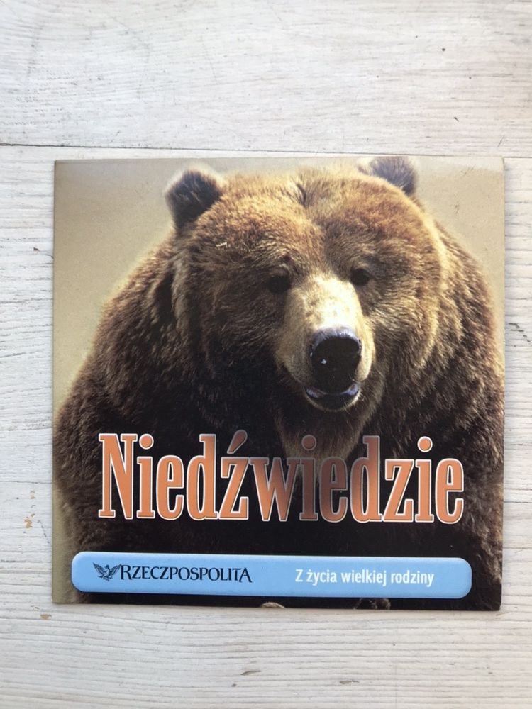 Niedźwiedzie DVD