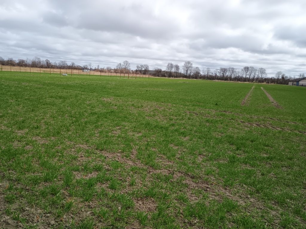 Atrakcyjna działka w Wiślince