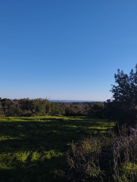 Terreno Misto,  com Ruína, Vista Mar.