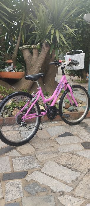 Várias em stock apartir de 100euros