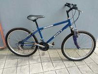 Bicicleta de roda 24