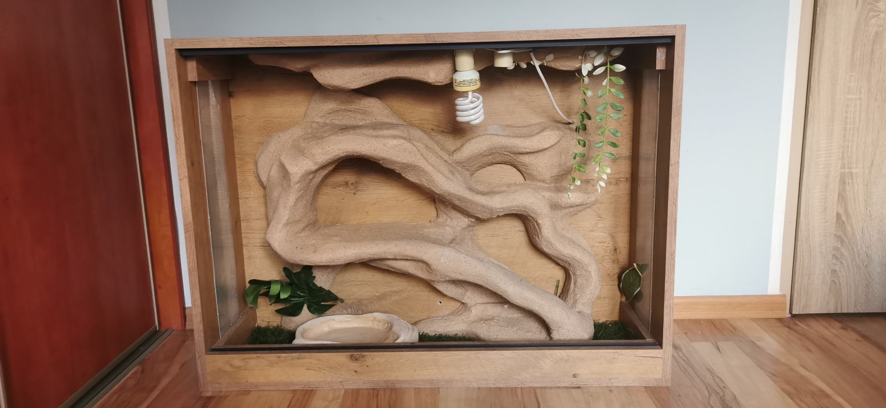 Sprzedam terrarium agama gekon