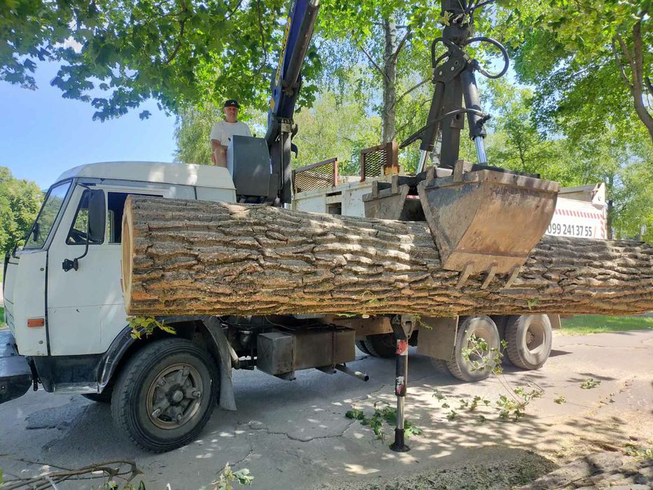 Спил дерев , вивоз , розчистка .