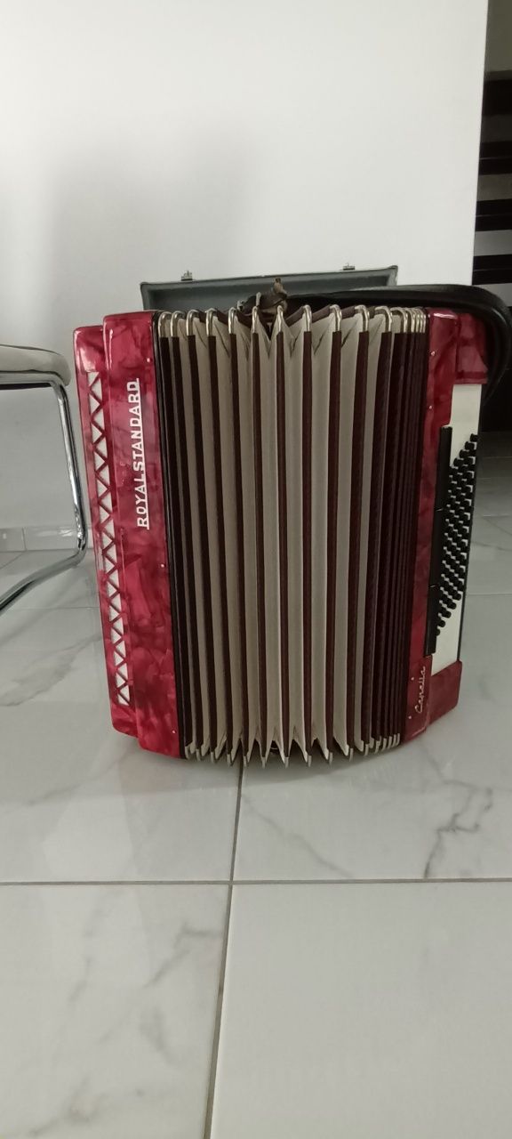 Akordeon Royal Standard 72 basów