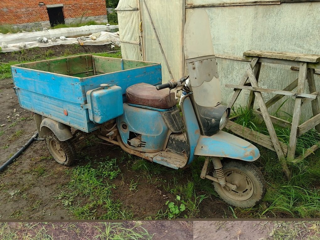 Продам муравей м2