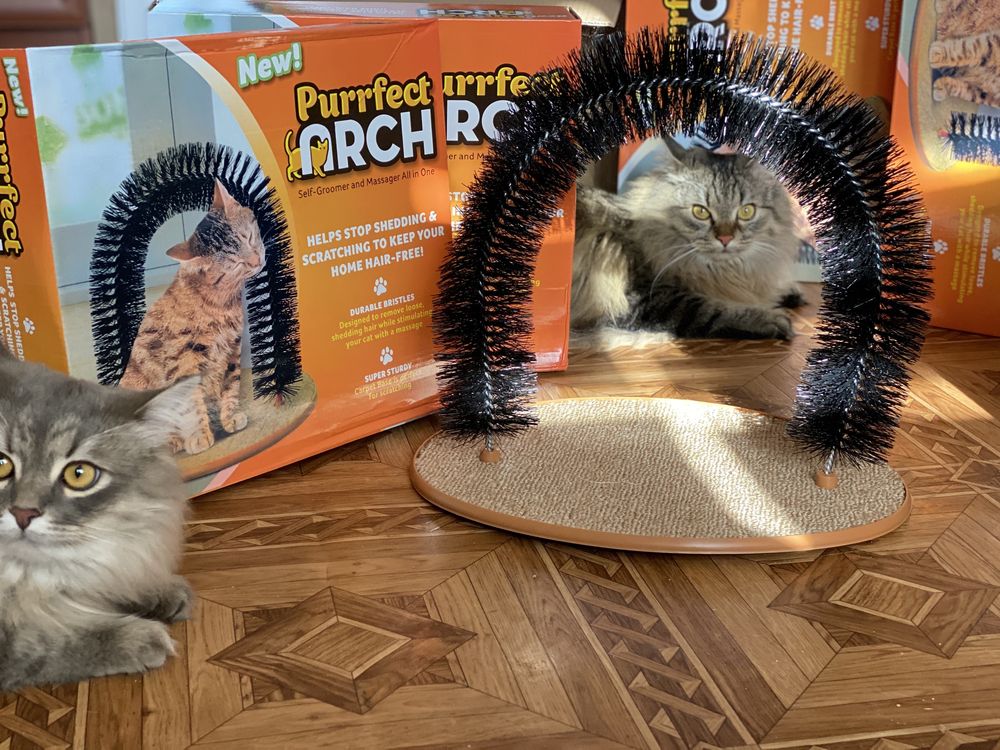 Новая когтеточка с чесалкой purrfect arch