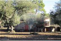 Quinta T0 para venda