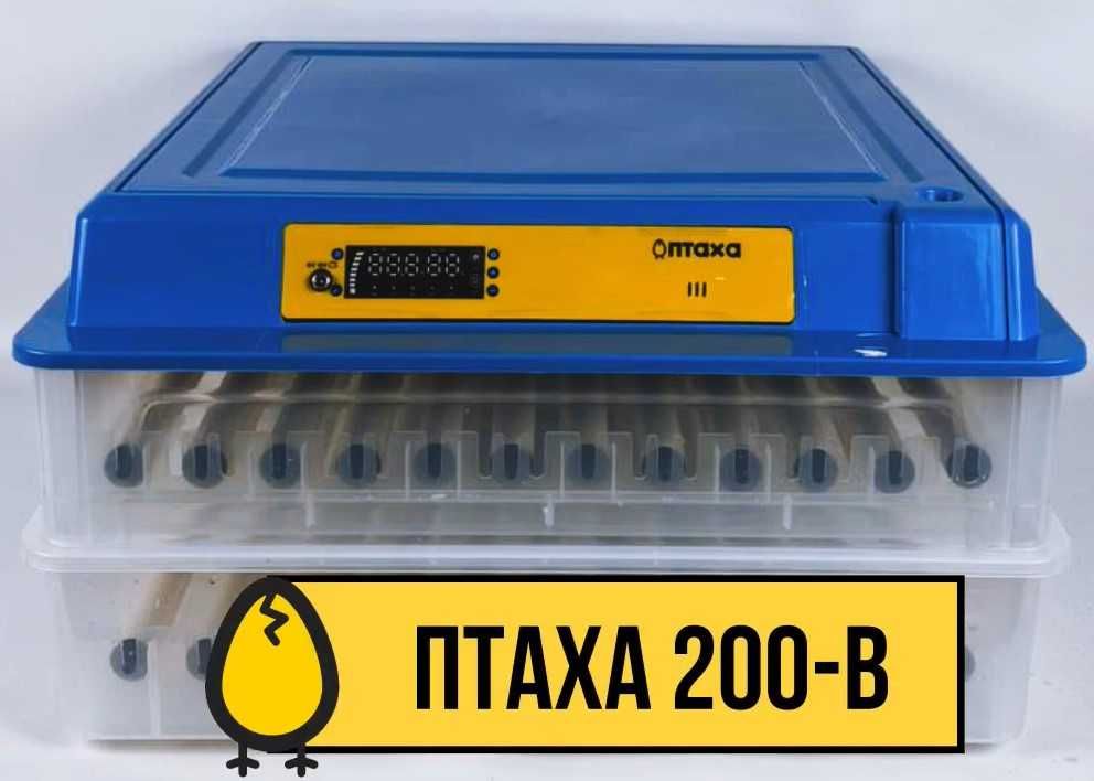 Розпродажа! Інкубатор автоматичний 220/12В. Инкубатор на 200 яиц