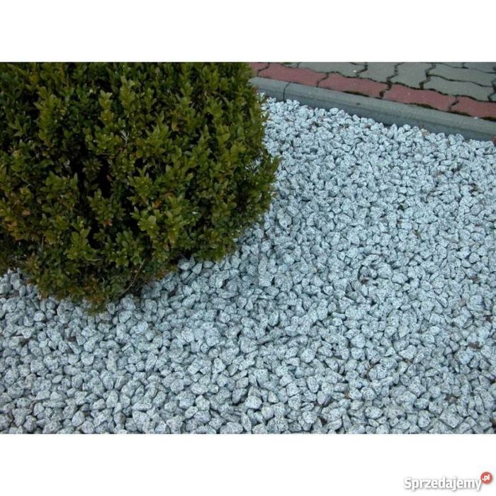 Grys granitowy kamień dalmatyńczyk kamień ozdobny kamień ogrodowy gres