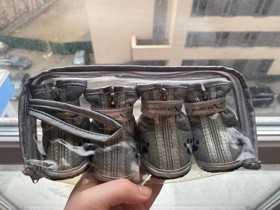 Взуття для собак