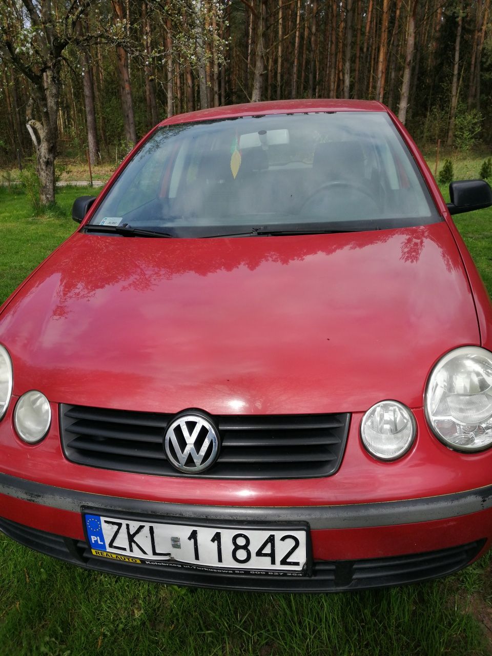 Volkswagen Polo 9N