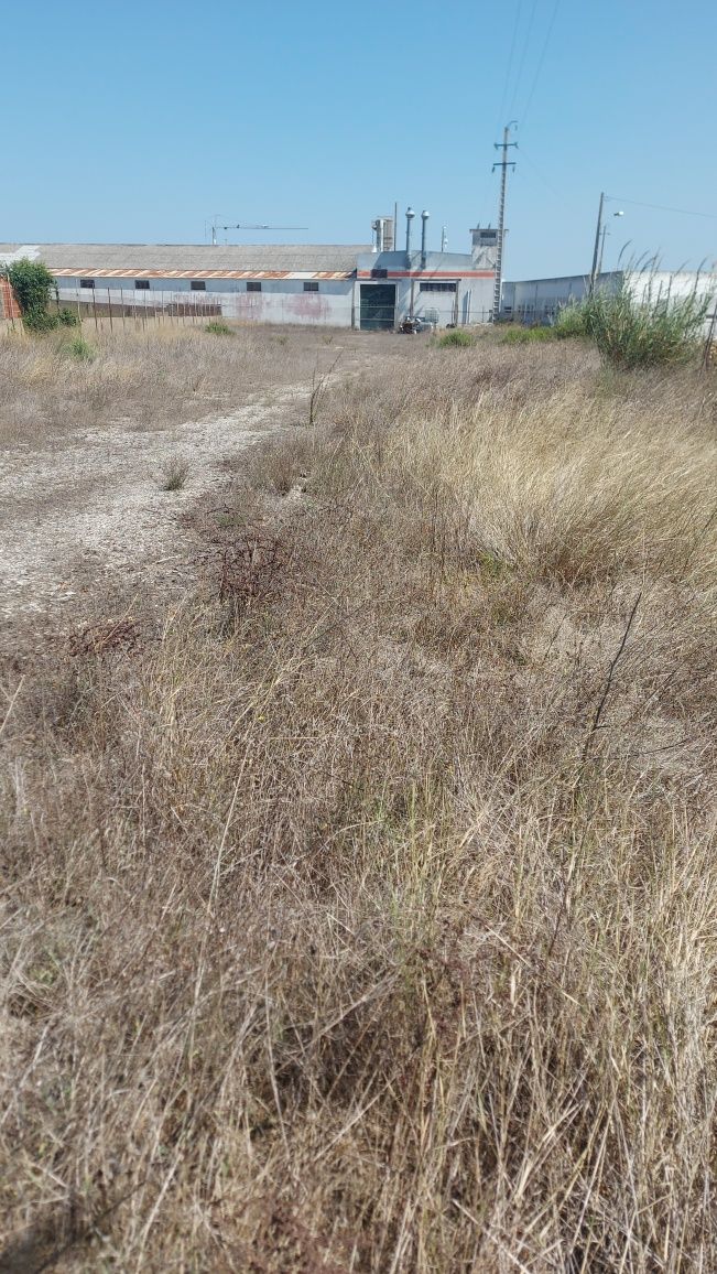 Terreno Vedado - Arrenda-se - 2.280m2