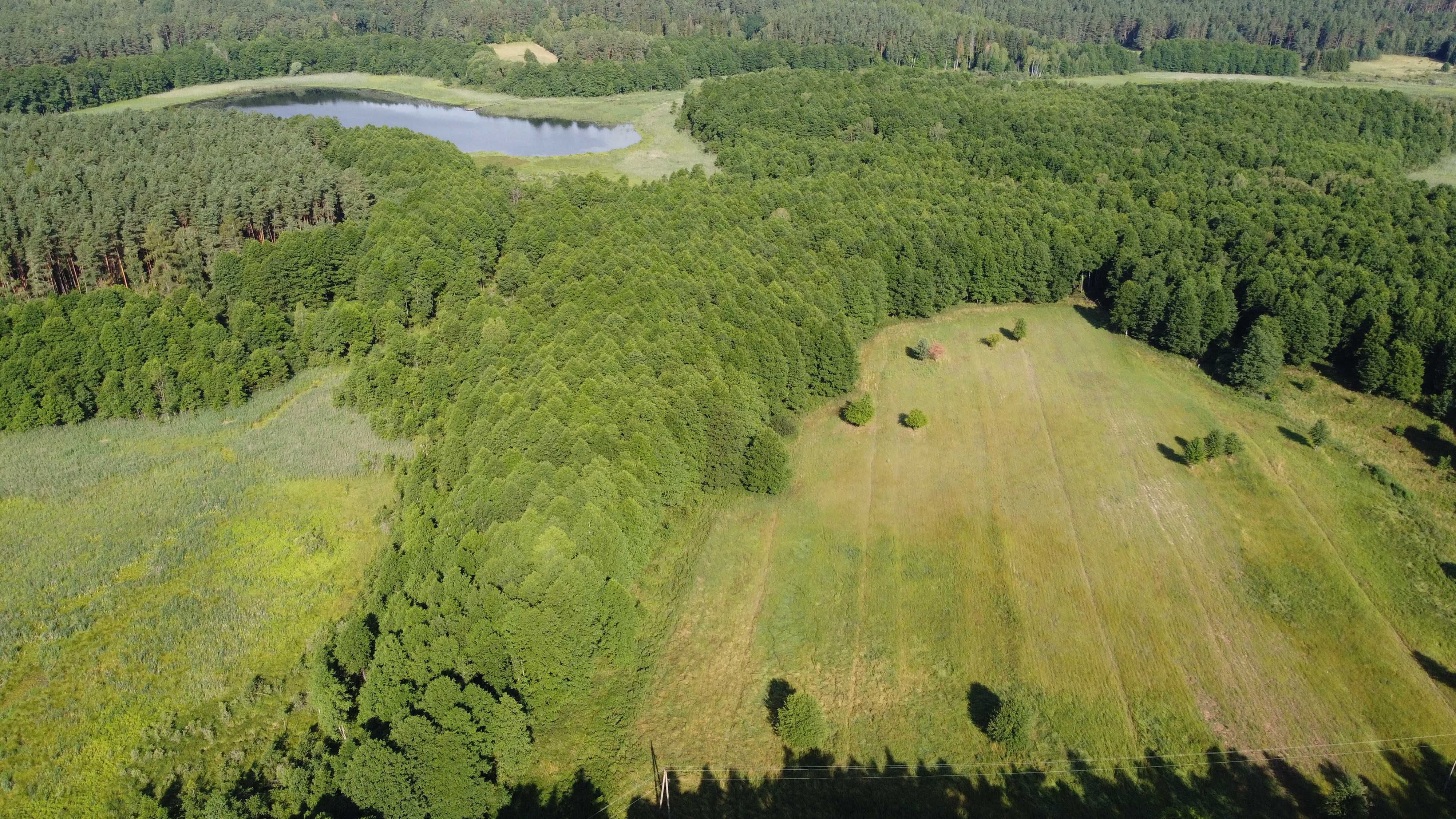 Działka w m. Likusy, 300m od linii brzegowej jeziora, Mazury.