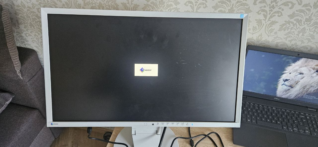 Монітор 22" Eizo FlexScan EV2216W TN VGA/DVI/DisplayPort Б/В