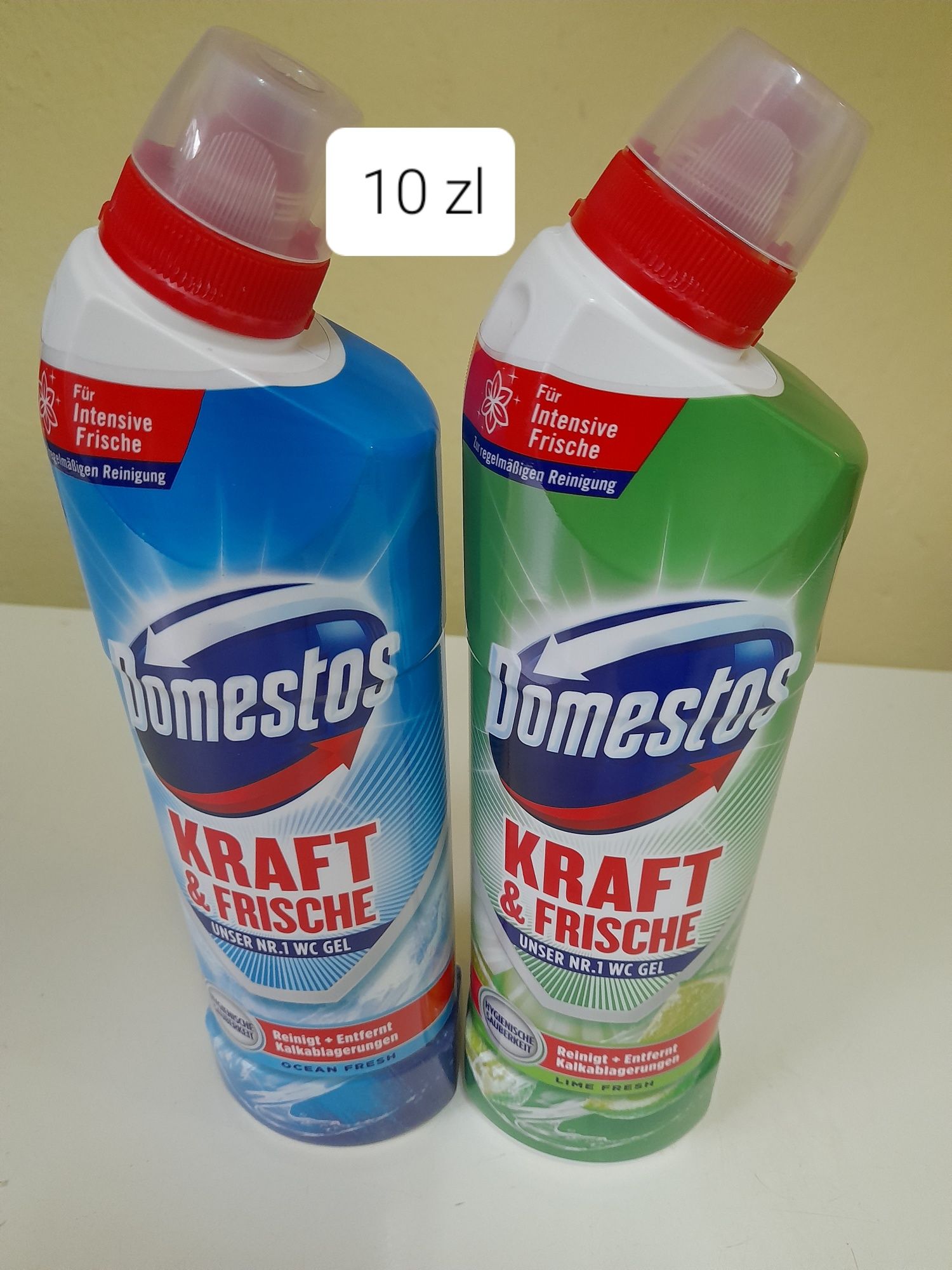 Domestos płyn WC