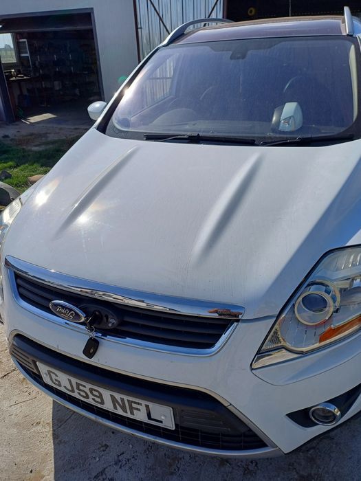 Ford Kuga MK2 kolor MD,AD,GD, 5D,FD Kuga Mk 1 ,P8,Q8,H8,58,F8,B8,V1