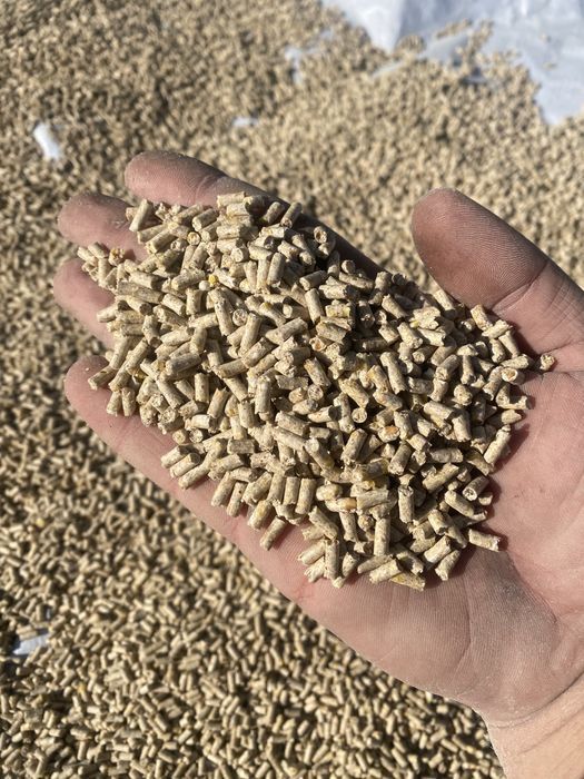 Гранулятор корму