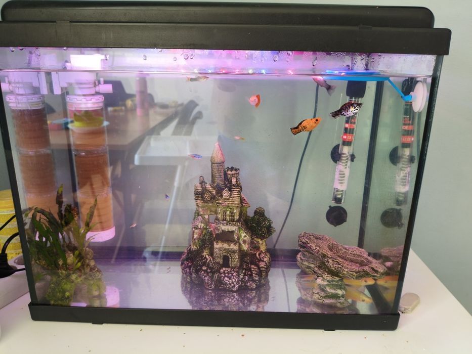 Aquário aquatlantis
