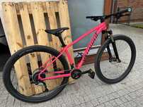 Specialized rockhopper comp PINK