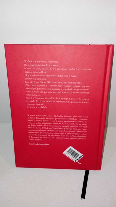 O Caderno Vermelho da rapariga Karateca - Planeta Tangerina