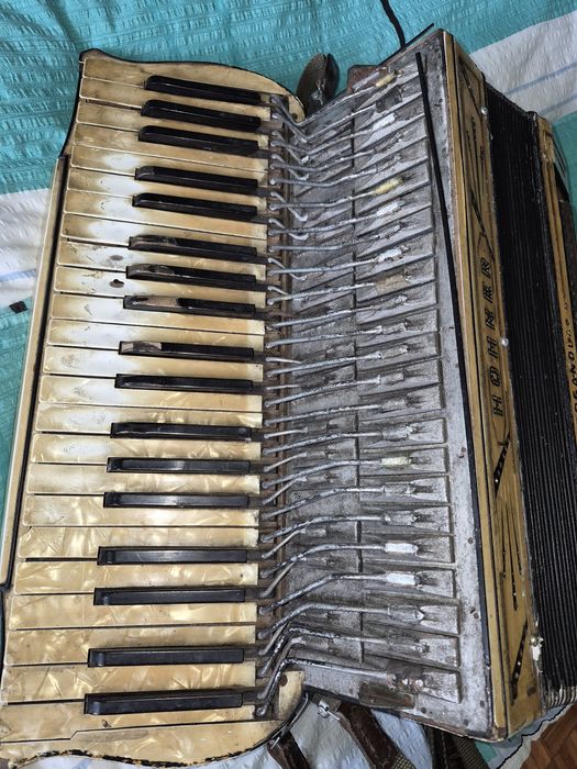 Akordeon Hohner Organola