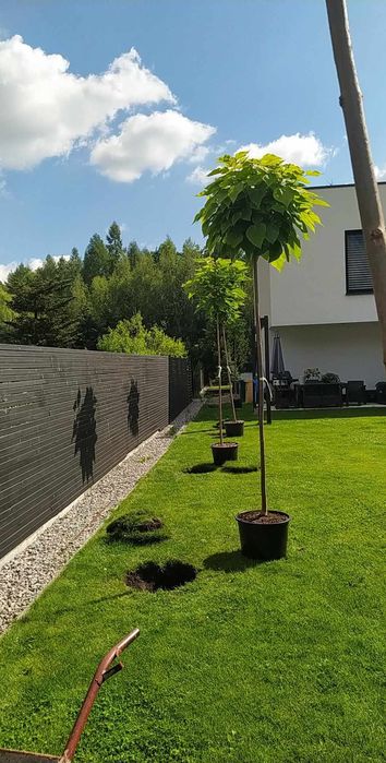 Usługi ogrodnicze - zakładanie ogrodów, pielęgnacja, przycinanie tuj