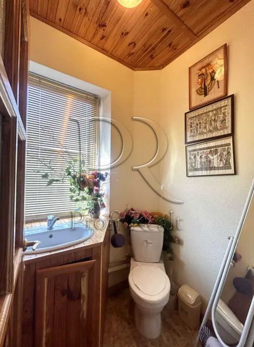 Продаж будинку Броварський, Зазимя, Пуховка, Рожни