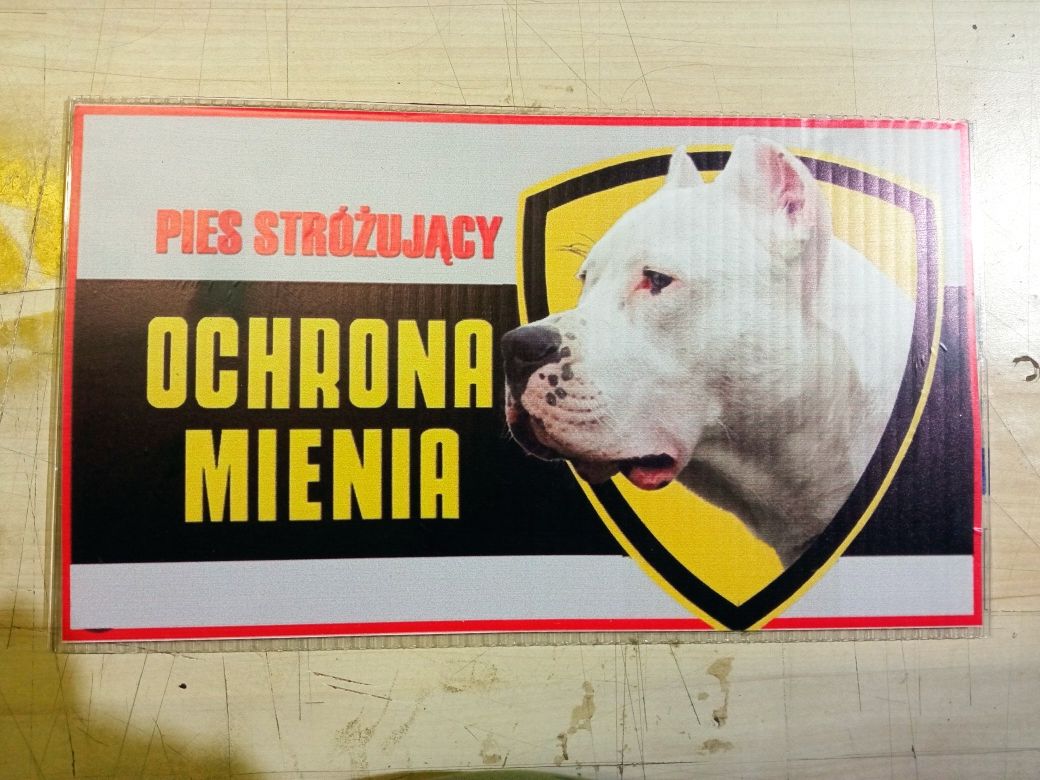 Tabliczka a4 zły pies dog Argentino