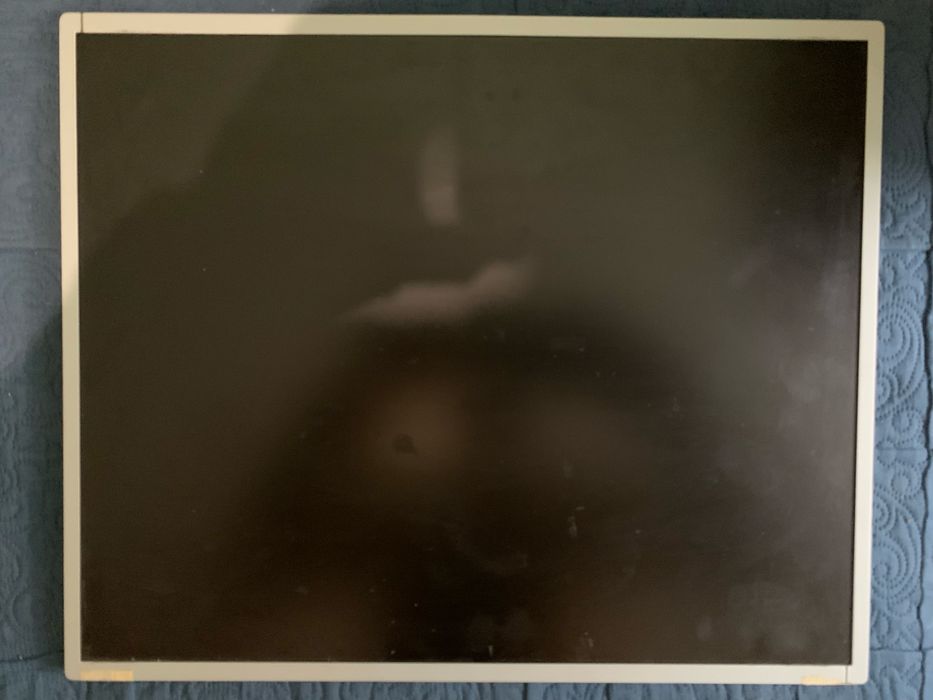 Монитор LG Flatron L1942S-SF