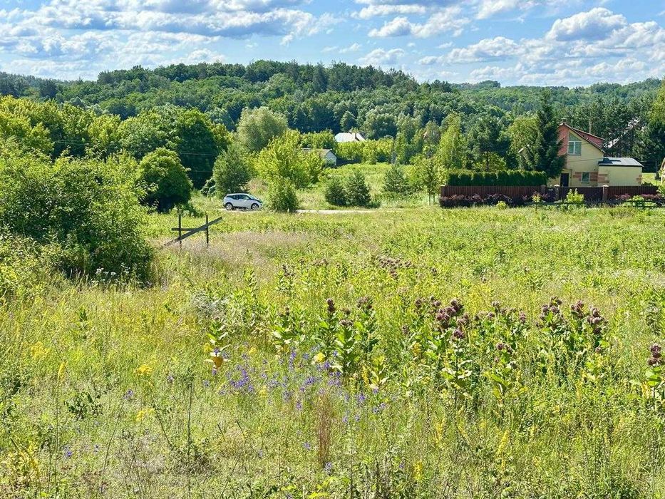 Продаж ділянки під забудову/виноградник Обухівський район В.Дмитровичі