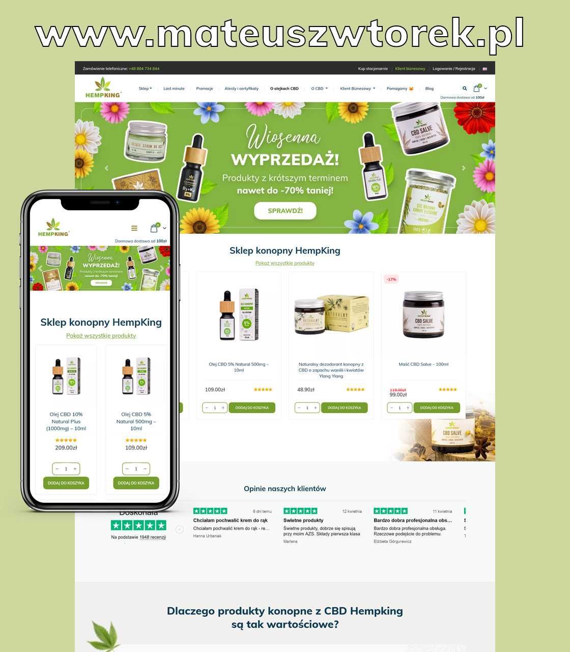 Strona internetowa | Sklep www | Strony internetowe | Wordpress | SEO