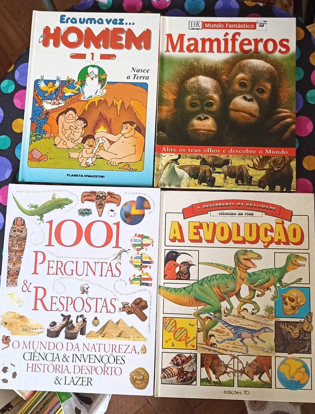 Livros infantis e juvenis didáticos