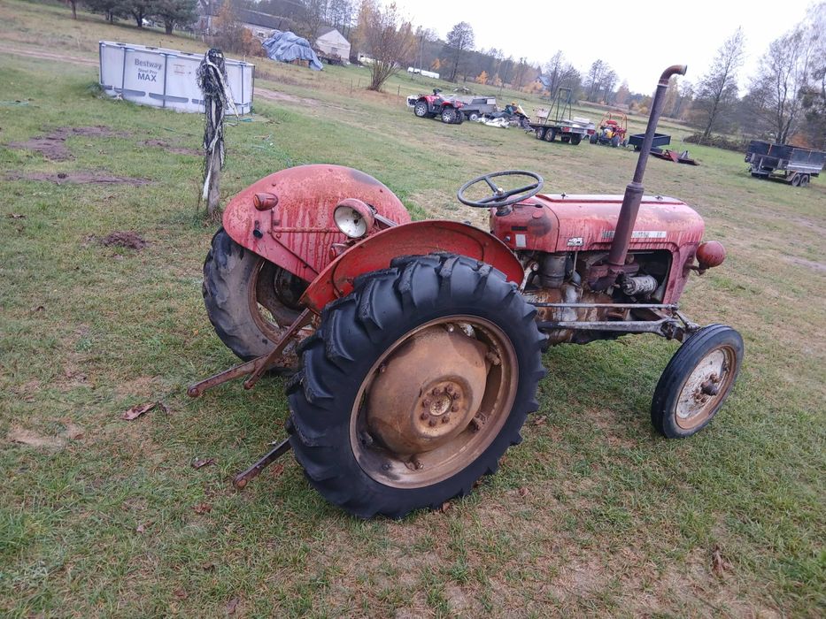 Ferguson  mf 35 benzyna