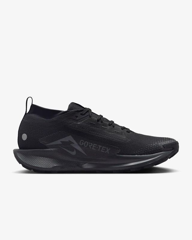 США Кросівки Nike Pegasus Trail 5 GTX ACG (40р по 49.5р) (FQ0908-002)