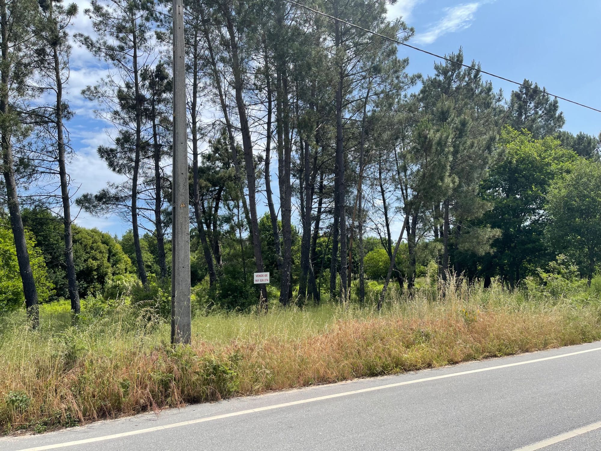 Terreno para construção em Lages 7 mil m2
