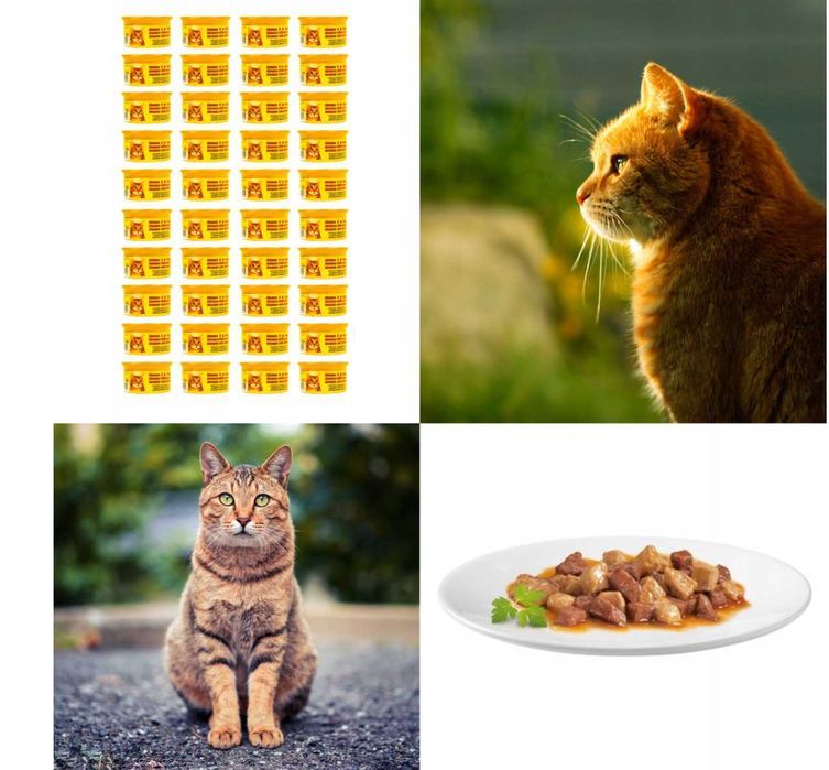 48 X 85G Kawałki Kurczak Sos Wyprzedaż