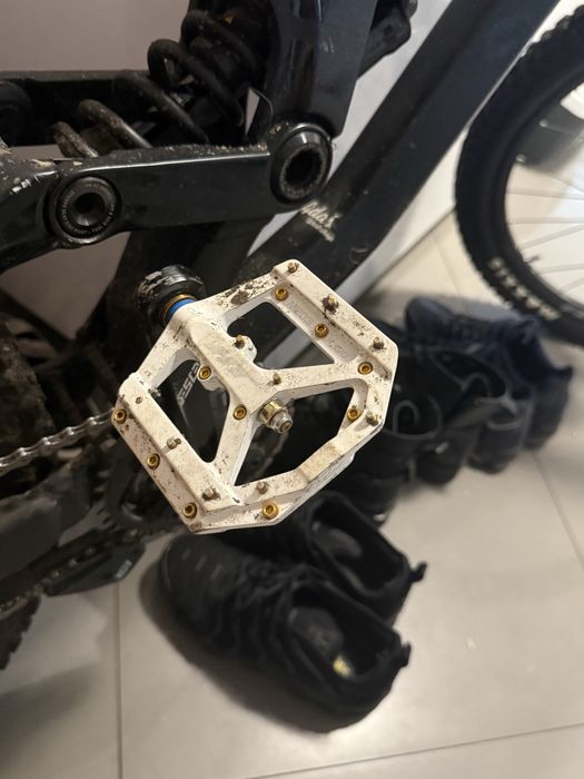 Canyon sender al6 2019